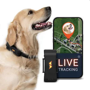 PAJ GPS Tracker für Hunde 4G - inkl. 3 Monate Premium ABO - Weglaufalarme
