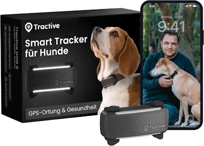Tractive GPS Tracker Hund | 2025 Edition | Live-Ortung | Weglaufalarm | Aktivitätstracking | Gesundheitswarnungen | Bellverhalten | Empfohlen von Martin Rütter (Schwarz) 