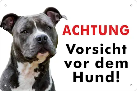 pubblimania AMSTAFF PITBULL ACHTUNG vorsicht vor dem Hund! Aluminium-Verbundschild für den Außen- und Innenbereich, 3 mm stark (Cm 20x30) 